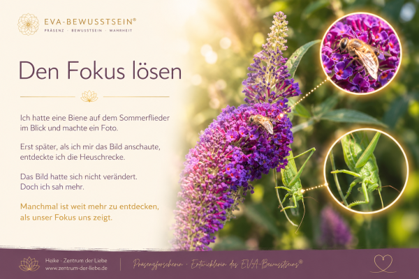 Fokus lösen